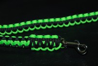 Hundeleine + passendes Halsband, neongrün/schwarz