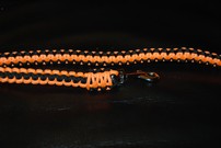 Hundeleine + passendes Halsband, fluoreszierendes apricot/schwarz