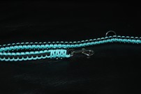 Hundeleine + passendes Halsband, fluoreszierendes hellblau-türkis/schwarz