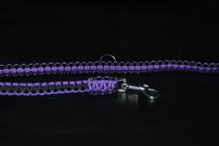 Hundeleine + passendes Halsband, violett/schwarz