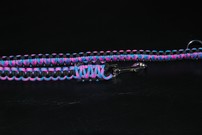 Hundeleine + passendes Halsband, pink-blau/schwarz