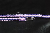 Hundeleine + passendes Halsband, rosa/violett